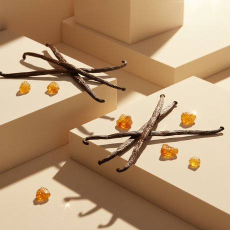 Vanilla beans and vanilla extract on a beige surface with geometric shapes